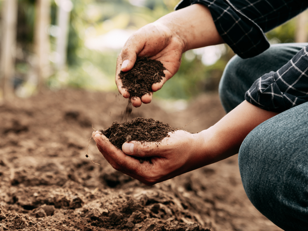 Analyse agronomique du sol