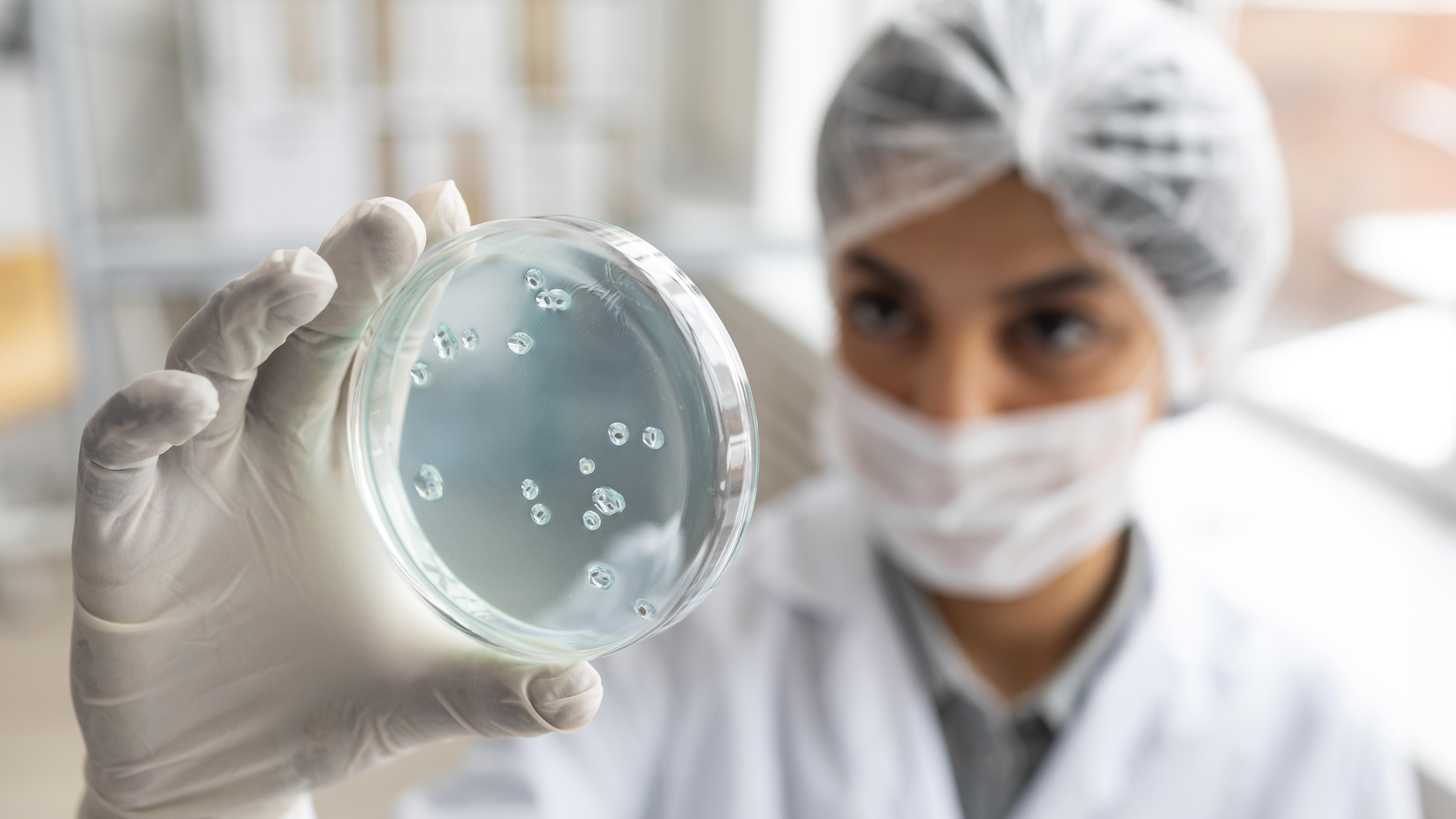 Microbiologie - CLIC LAB