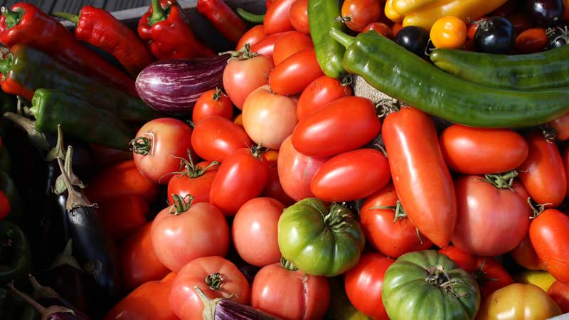 Fruits & légumes