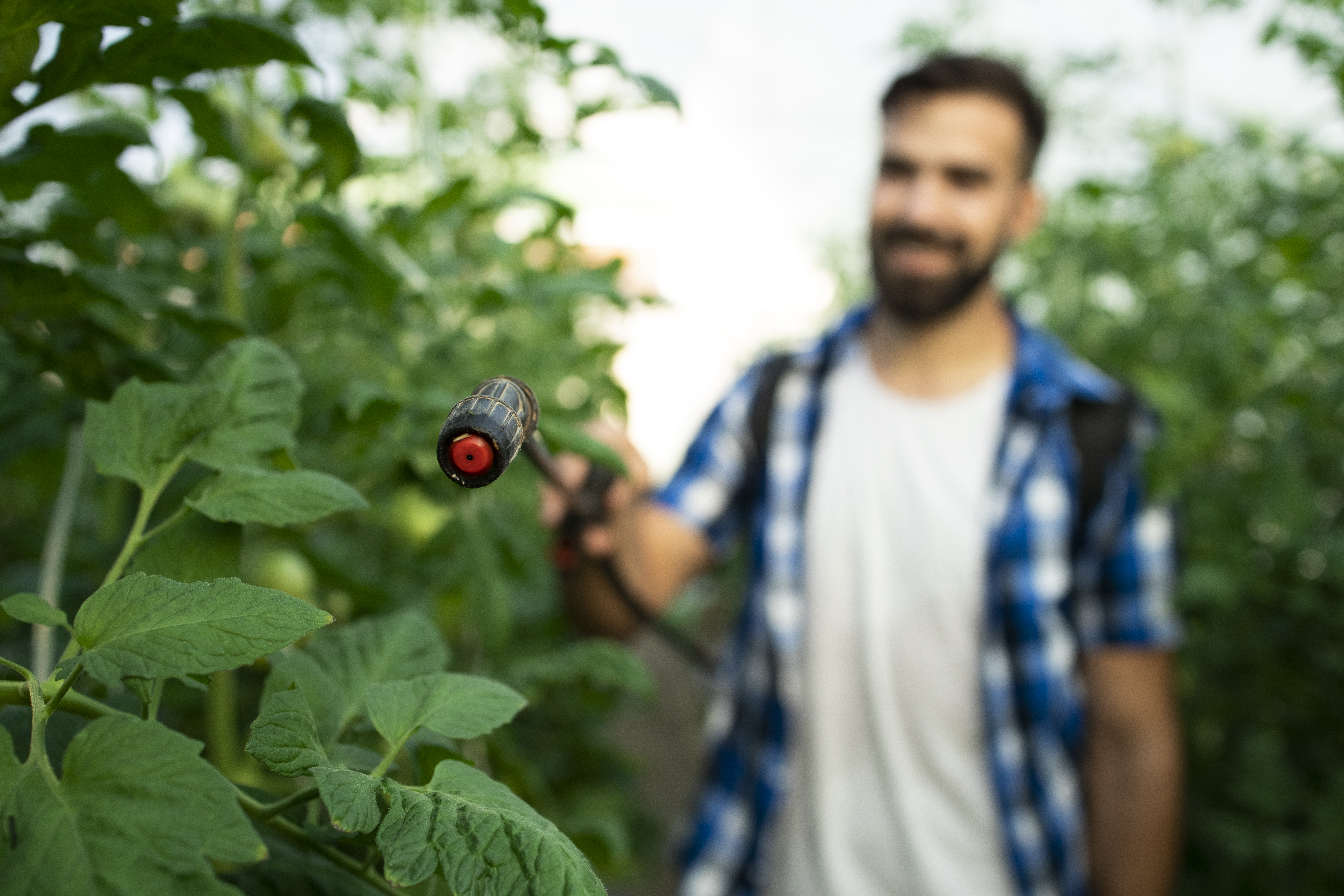 Analyses agroalimentaires